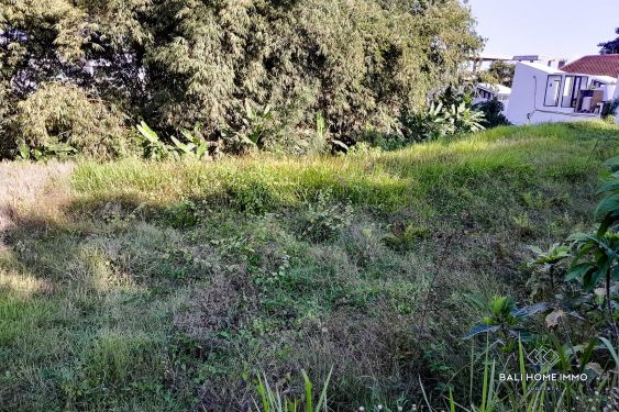 Image 2 from RICEFIELD VIEW RIVERSIDE LAND FOR SALE LEASEHOLD IN BERAWA