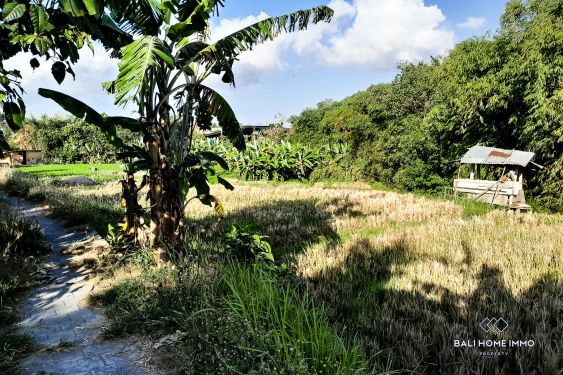 Image 3 from RICEFIELD VIEW RIVERSIDE LAND FOR SALE LEASEHOLD IN BERAWA