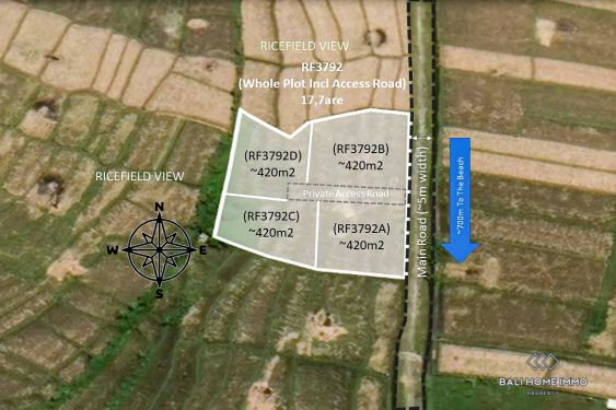 Image 1 from Terrain divisé avec vue sur Ricefield à vendre près de la plage de Seseh à Bali