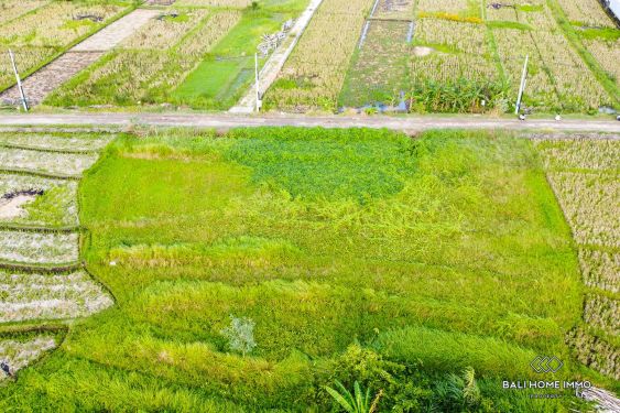 Image 2 from Terrain divisé avec vue sur Ricefield à vendre près de la plage de Seseh à Bali