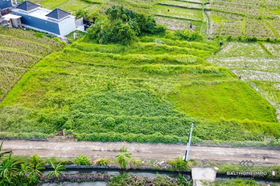 Image 3 from Ricefield View Splitable Land For Sale Near Seseh Beach Bali