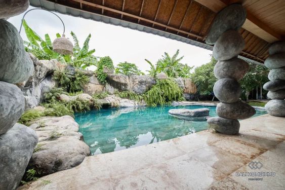 Image 14 from Dijual villa 2 kamar luas berpemandangan sawah di Ubud, Bali