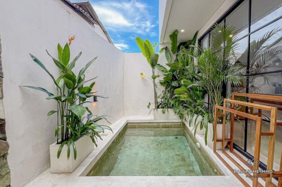 Villa 2 kamar berpemandangan sawah dijual dan disewakan di Bali, dekat Pantai Cemagi & Seseh.