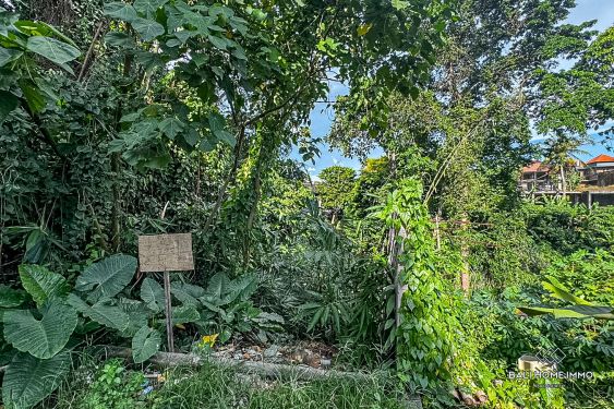 Image 3 from Terrain à vendre avec vue sur la rivière et la jungle à bail à Bali - Tumbak Bayuh
