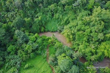 Image 5 from River View Land For Sale Freehold in Tabanan