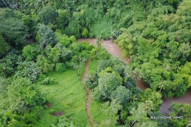 Image 1 from River View Land For Sale Freehold in Tabanan