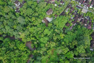 Image 6 from River View Land For Sale Freehold in Tabanan