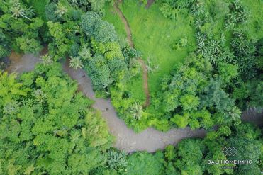 Image 7 from River View Land For Sale Freehold in Tabanan