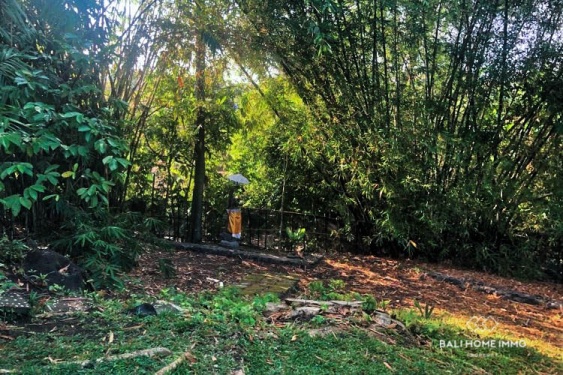 Image 7 from Riverside 10,2 are Land for sale in Pererenan