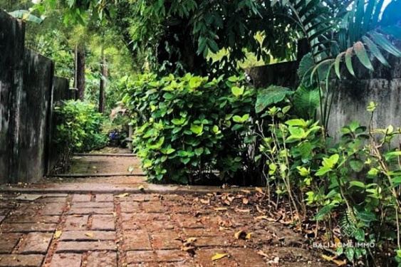 Image 9 from Riverside 10,2 are Land for sale in Pererenan