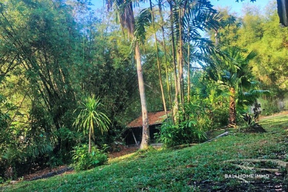 Image 3 from Terrain de 1000,2 m² en bord de rivière à vendre à Pererenan