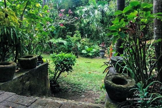 Image 8 from Riverside 10,2 are Land for sale in Pererenan