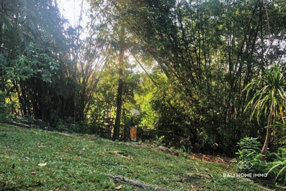 Image 6 from Riverside 10,2 are Land for sale in Pererenan