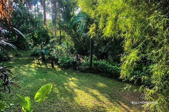 Image 5 from Riverside 10,2 are Land for sale in Pererenan