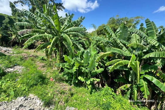 Image 3 from Riverside 2.75 Terrains à vendre à Umalas