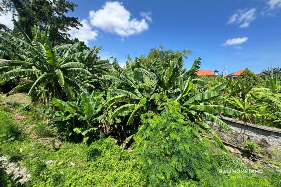 Image 2 from Riverside 2.75 Terrains à vendre à Umalas