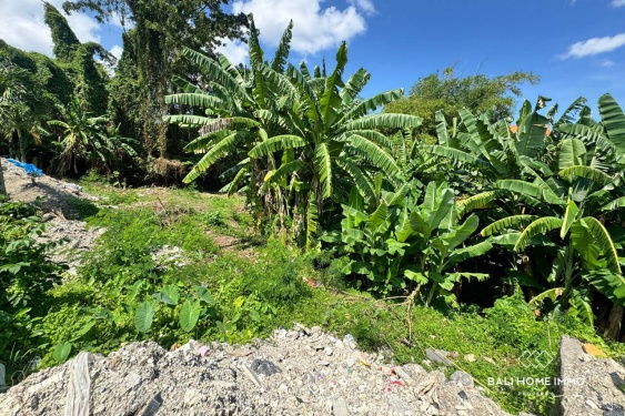 Image 4 from Riverside 2.75 Terrains à vendre à Umalas