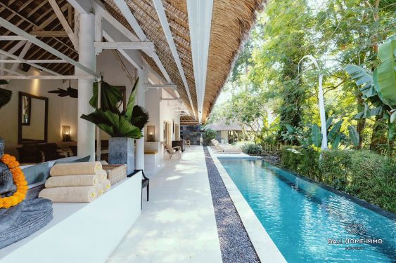 Image 1 from Villa de 3 chambres au bord de la rivière à vendre en location à Bali Cepaka