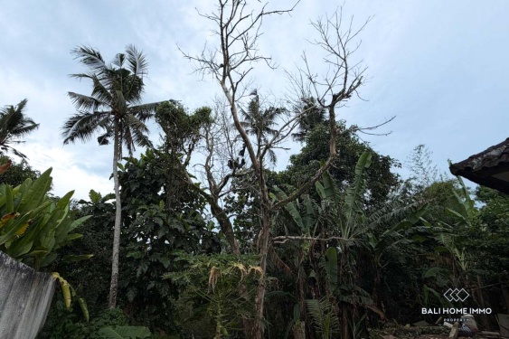 Image 4 from Tanah tepi sungai dijual dengan hak milik di Bali - Tabanan Buwit dekat Nuanu