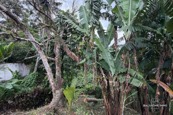 Image 3 from Tanah tepi sungai dijual dengan hak milik di Bali - Tabanan Buwit dekat Nuanu