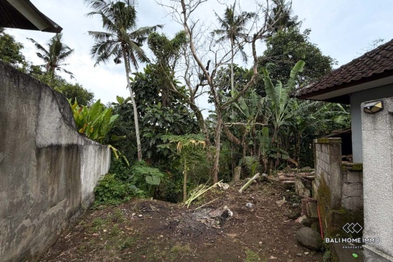 Image 5 from Tanah tepi sungai dijual dengan hak milik di Bali - Tabanan Buwit dekat Nuanu