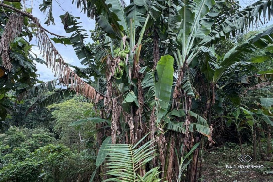 Image 2 from Tanah tepi sungai dijual dengan hak milik di Bali - Tabanan Buwit dekat Nuanu
