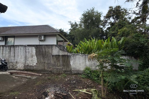 Image 6 from Tanah tepi sungai dijual dengan hak milik di Bali - Tabanan Buwit dekat Nuanu