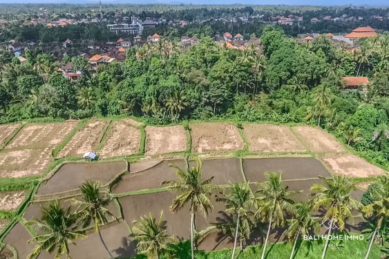 Image 3 from Riverside Land for Sale in Ubud