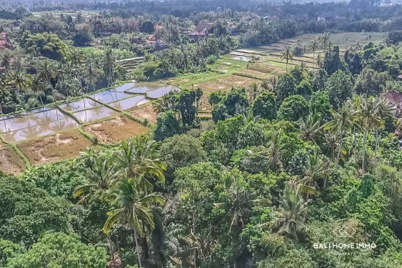 Image 2 from Riverside Land for Sale in Ubud