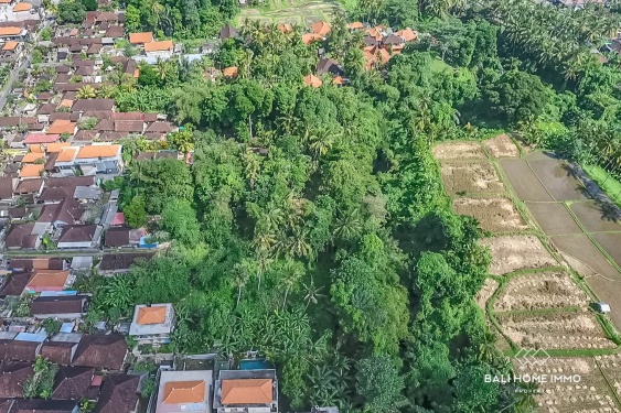 Image 2 from Tanah Tepi Sungai Dijual di Ubud