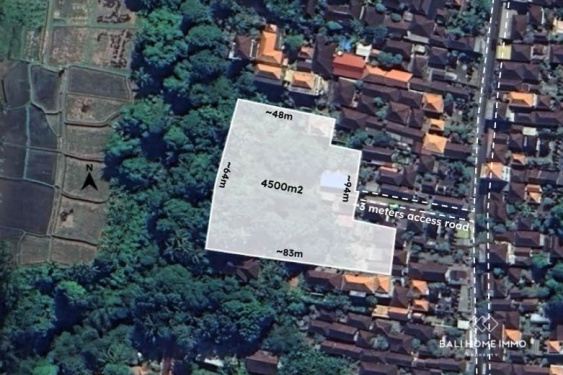 Image 1 from Riverside Land for Sale in Ubud