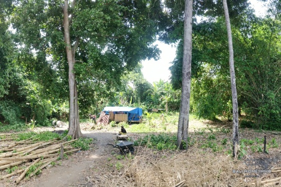 Image 5 from Riverside land for sale leasehold in Bali Canggu residential side