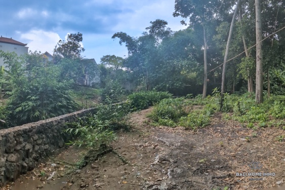 Image 2 from Riverside land for sale leasehold in Bali Canggu residential side