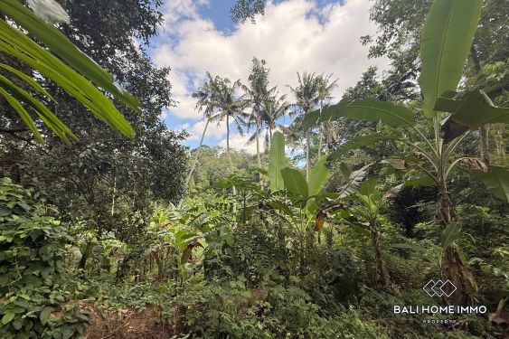Image 6 from Terrain à vendre avec vue sur la rivière et les rizières à Cepaka