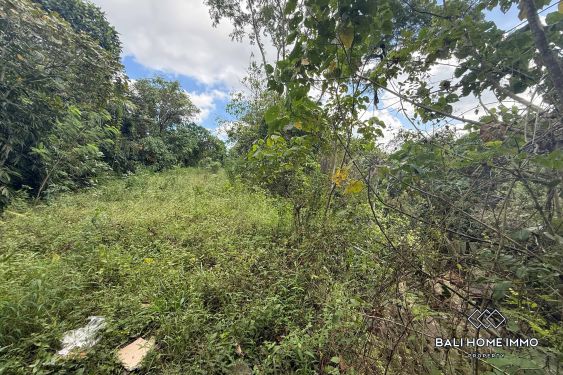 Image 5 from Terrain à vendre avec vue sur la rivière et les rizières à Cepaka