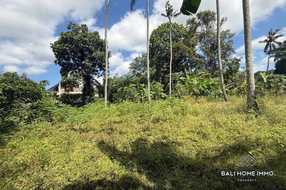 Image 2 from Riverside & Ricefield view Land for Sale in Cepaka