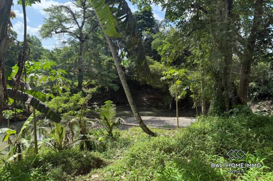 Image 7 from Terrain à vendre avec vue sur la rivière et les rizières à Cepaka
