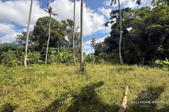 Image 3 from Riverside & Ricefield view Land for Sale in Cepaka