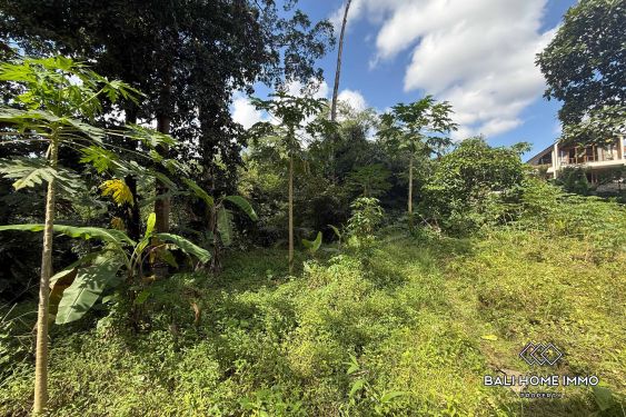 Image 4 from Terrain à vendre avec vue sur la rivière et les rizières à Cepaka
