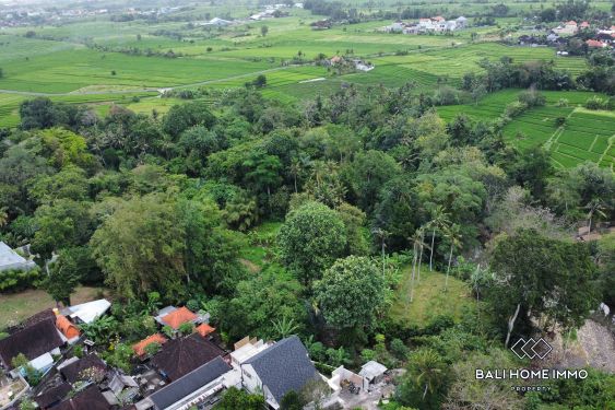 Image 8 from Terrain à vendre avec vue sur la rivière et les rizières à Cepaka