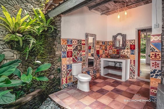 Image 14 from Vila Tropis Tenang 1 Kamar di Ubud