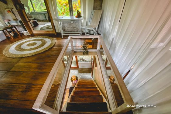 Image 9 from Vila Tropis Tenang 1 Kamar di Ubud