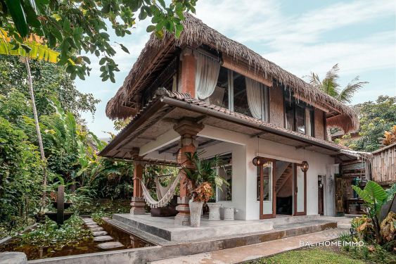 Image 1 from Vila Tropis Tenang 1 Kamar di Ubud