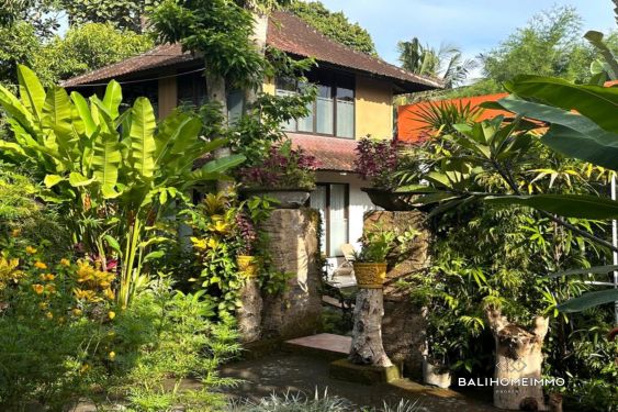 Image 14 from Vila Tropis Tenang 1 Kamar di Ubud