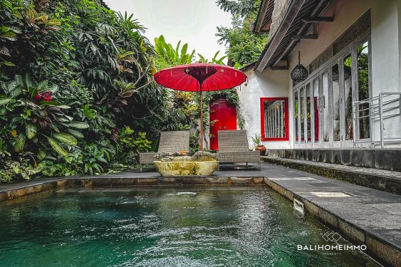 Image 20 from Vila Tropis Tenang 2 Kamar di Ubud