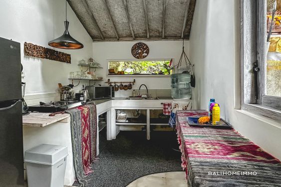 Image 10 from Vila Tropis Tenang 2 Kamar di Ubud