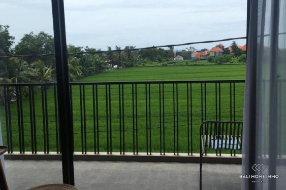 Image 3 from Shop Cafe for Rent in Bali Canggu Berawa