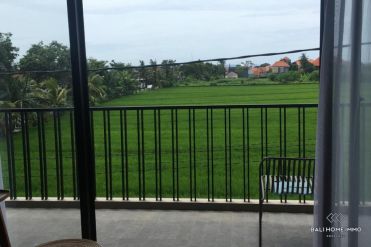 Image 5 from Shop & Offices For Yearly Rental in Berawa - Canggu