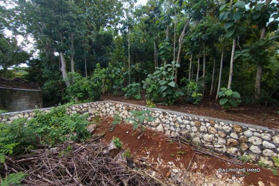 Image 2 from Small Land for Sale Leasehold Near Nunggalan Beach - Pecatu