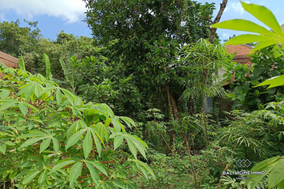 Image 2 from Small Plot Land for Sale Freehold in Jimbaran